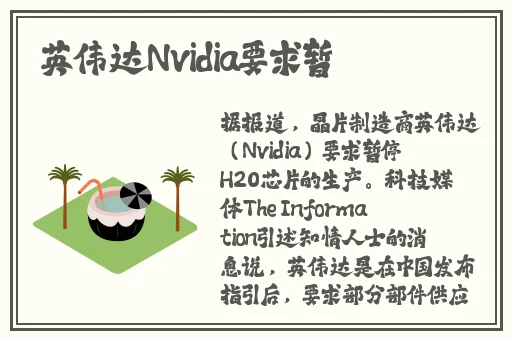 爱浪dt20
